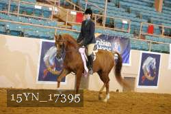 15YN_17395 thumbnail
