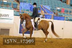 15YN_17396 thumbnail