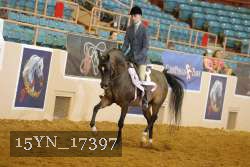 15YN_17397 thumbnail