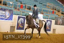 15YN_17399 thumbnail