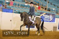 15YN_17401 thumbnail