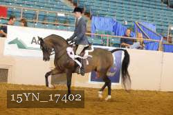 15YN_17402 thumbnail