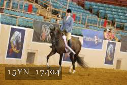 15YN_17404 thumbnail