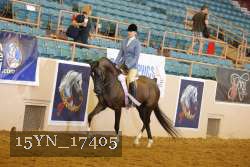 15YN_17405 thumbnail
