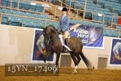 15YN_17406 thumbnail