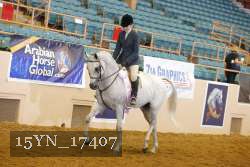 15YN_17407 thumbnail