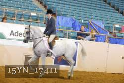 15YN_17411 thumbnail