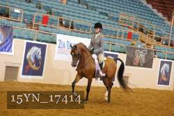 15YN_17414 thumbnail