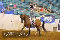 15YN_17415 thumbnail