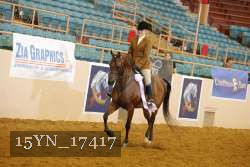 15YN_17417 thumbnail