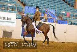 15YN_17419 thumbnail