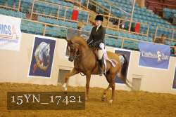 15YN_17421 thumbnail
