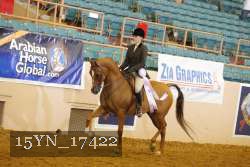15YN_17422 thumbnail
