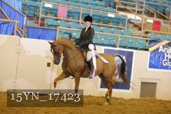 15YN_17423 thumbnail