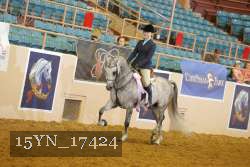 15YN_17424 thumbnail