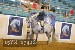 15YN_17426 thumbnail