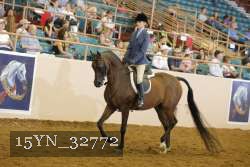 15YN_32772 thumbnail