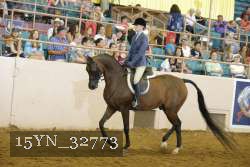 15YN_32773 thumbnail