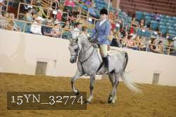 15YN_32774 thumbnail