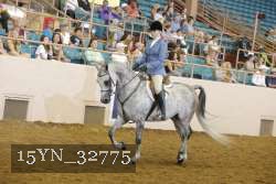 15YN_32775 thumbnail