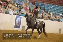 15YN_32777 thumbnail