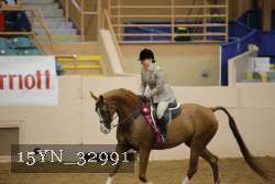 15YN_32991 thumbnail