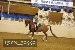 15YN_32992 thumbnail
