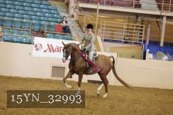 15YN_32993 thumbnail