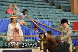 15YN_32995 thumbnail