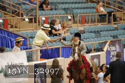 15YN_32997 thumbnail