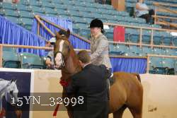 15YN_32998 thumbnail