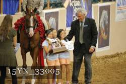 15YN_33005 thumbnail