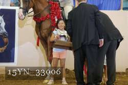 15YN_33006 thumbnail