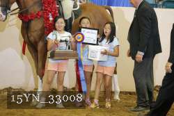15YN_33008 thumbnail