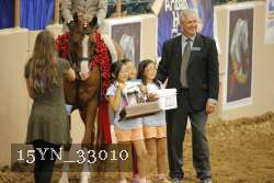 15YN_33010 thumbnail