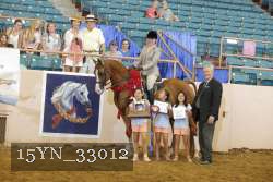 15YN_33012 thumbnail