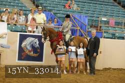 15YN_33014 thumbnail
