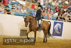 15YN_04268 thumbnail