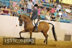 15YN_04683 thumbnail