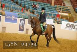 15YN_04734 thumbnail