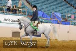 15YN_04737 thumbnail