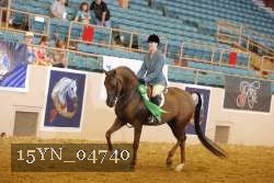 15YN_04740 thumbnail