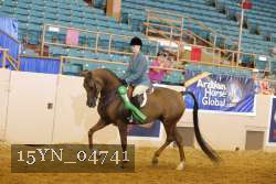15YN_04741 thumbnail