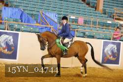 15YN_04744 thumbnail