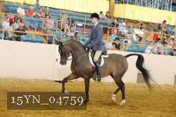 15YN_04759 thumbnail
