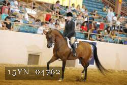 15YN_04762 thumbnail