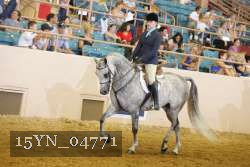 15YN_04771 thumbnail