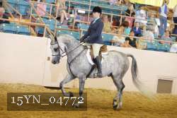 15YN_04772 thumbnail