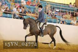 15YN_04774 thumbnail