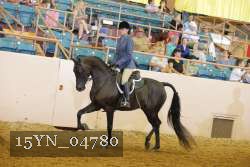 15YN_04780 thumbnail